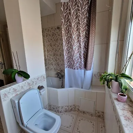 Luxury 4 Minute From Basel Shared *