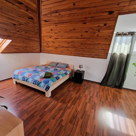 Luxury 4 Minute From Basel Shared Сен-Луи